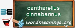 WordMeaning blackboard for cantharellus cinnabarinus